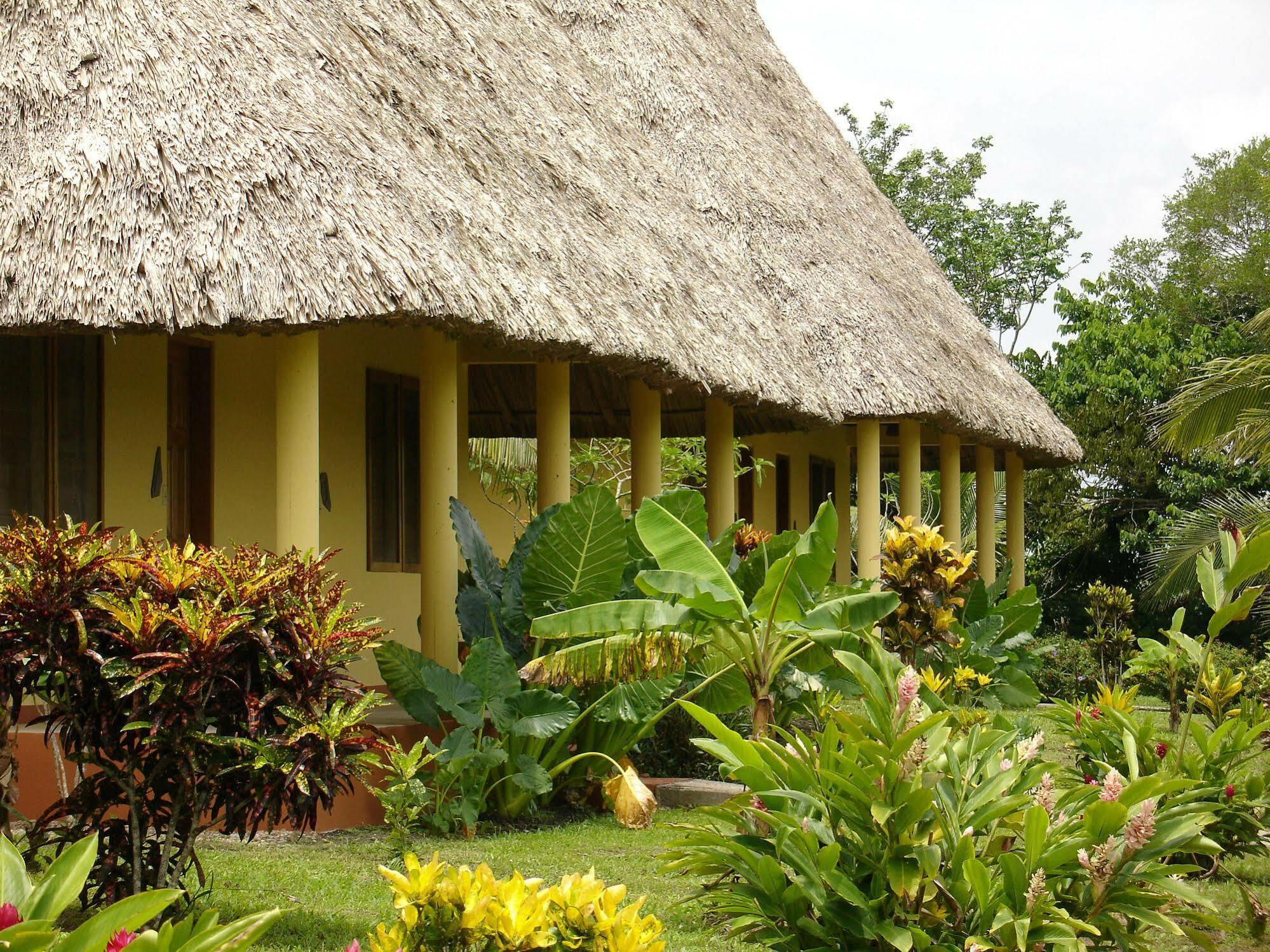 Casa Del Caballo Blanco Hotel San Ignacio Exterior photo